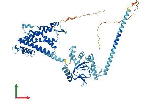 AlphaFold protein structure predicition of Human Recombinant CNGA4 Protein, UniprotID Q8IV77