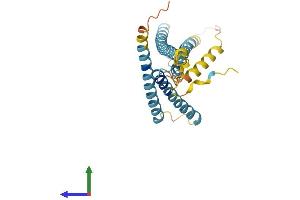 AlphaFold protein structure predicition of Mouse Recombinant Laptm5 Protein, UniprotID Q61168