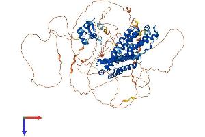 AlphaFold protein structure predicition of Mouse Recombinant Rfx1 Protein, UniprotID P48377
