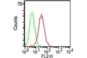 Surface flow cytometric analysis of CD34 on KG-1 cells using CD34 antibody (ICO-115, red) and isotype control antibody (green). (CD34 anticorps)