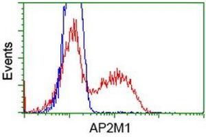 HEK293T cells transfected with either RC201377 overexpress plasmid (Red) or empty vector control plasmid (Blue) were immunostained by anti-AP2M1 antibody (ABIN2454657), and then analyzed by flow cytometry. (AP2M1 anticorps  (AA 97-383))