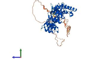 AlphaFold protein structure predicition of Mouse Recombinant Vipas39 Protein, UniprotID Q8BGQ1