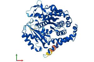AlphaFold protein structure predicition of Human Recombinant TUBB2B Protein, UniprotID Q9BVA1