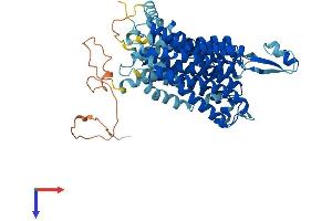 AlphaFold protein structure predicition of Human Recombinant SLC33A1 Protein, UniprotID O00400