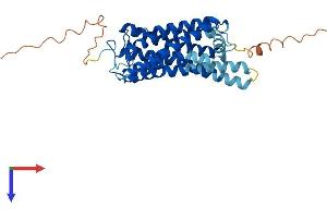 AlphaFold protein structure predicition of Mouse Recombinant Opn1mw Protein, UniprotID O35599
