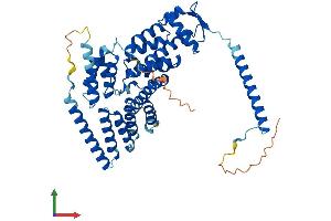 AlphaFold protein structure predicition of Mouse Recombinant Gps1 Protein, UniprotID Q99LD4