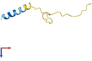 AlphaFold protein structure predicition of Mouse Recombinant Prcd Protein, UniprotID Q00LT2