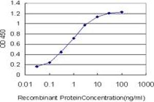 Detection limit for recombinant GST tagged DDEF1 is approximately 0.