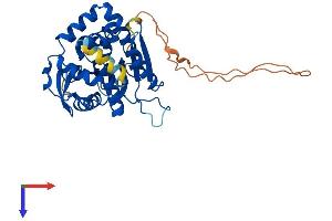 AlphaFold protein structure predicition of Human Recombinant NDRG4 Protein, UniprotID Q9ULP0