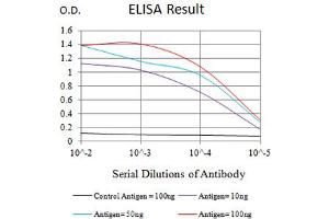 anti-CD8a Molecule (CD8A) (AA 22-182) antibody