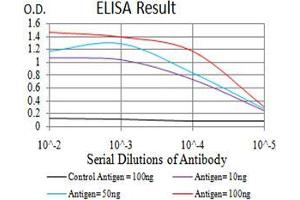 Black line: Control Antigen (100 ng),Purple line: Antigen (10 ng), Blue line: Antigen (50 ng), Red line:Antigen (100 ng) (Keratin 10 anticorps  (AA 345-454))