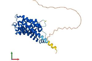 AlphaFold protein structure predicition of Mouse Recombinant Aqp6 Protein, UniprotID Q8C4A0