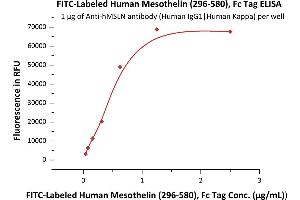 Immobilized A MSLN antibody at 10 μg/mL (100 μL/well) can bind Fed Human Mesothelin (296-580), Fc Tag (ABIN6731264,ABIN6809858) with a linear range of 0.