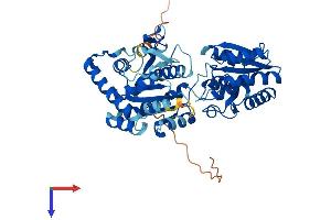 AlphaFold protein structure predicition of Human Recombinant PIGA Protein, UniprotID P37287