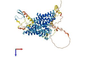 AlphaFold protein structure predicition of Human Recombinant SLC9A9 Protein, UniprotID Q8IVB4