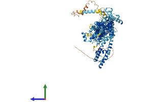 AlphaFold protein structure predicition of Human Recombinant TRPC7 Protein, UniprotID Q9HCX4