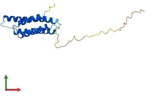 AlphaFold protein structure predicition of Human Recombinant AGTRAP Protein, UniprotID Q6RW13