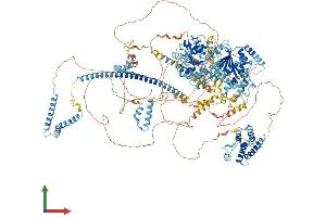 AlphaFold protein structure predicition of Mouse Recombinant Smarca4 Protein, UniprotID Q3TKT4