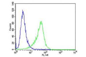 anti-CF150 (AA 266-295) antibody