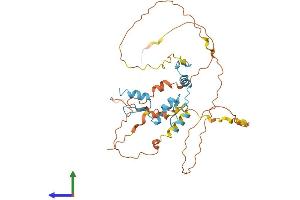 AlphaFold protein structure predicition of Human Recombinant KLF1 Protein, UniprotID Q13351