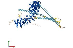 AlphaFold protein structure predicition of Human Recombinant USO1 Protein, UniprotID O60763