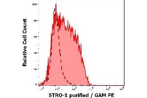 Separation of CD45dim cells stained using anti-human STRO-1 (STRO-1) purified antibody (concentration in sample 4 μg/mL, GAM PE, red-filled) from CD45dim cells unstained by primary antibody (GAM PE, black-dashed) in flow cytometry analysis (surface staining) of human bone marrow cells. (STRO-1 anticorps)