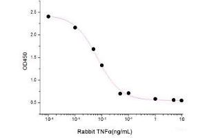 ELISA image for Tumor Necrosis Factor alpha (TNF alpha) (Active) protein (ABIN7320992)