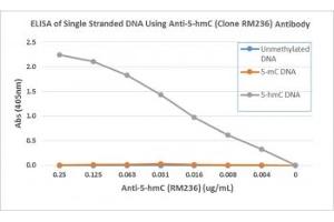 ELISA of single stranded DNA using recombinant 5hmC antibody. (Recombinant 5-Hydroxymethylcytosine anticorps)