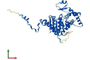 AlphaFold protein structure predicition of Human Recombinant DHPS Protein, UniprotID P49366