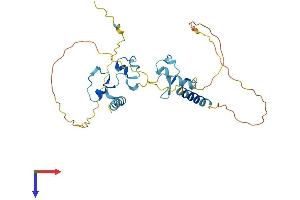 AlphaFold protein structure predicition of Human Recombinant ZC3H8 Protein, UniprotID Q8N5P1