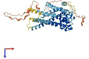 AlphaFold protein structure predicition of Mouse Recombinant Slc25a46 Protein, UniprotID Q9CQS4