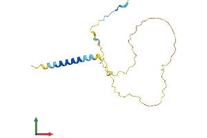 AlphaFold protein structure predicition of Human Recombinant GAPT Protein, UniprotID Q8N292