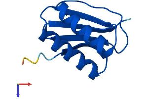 AlphaFold protein structure predicition of Human Recombinant DYNLL2 Protein, UniprotID Q96FJ2