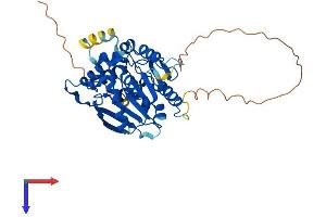 AlphaFold protein structure predicition of Human Recombinant NDRG3 Protein, UniprotID Q9UGV2
