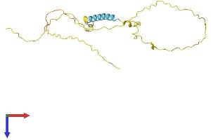 AlphaFold protein structure predicition of Human Recombinant TCEAL3 Protein, UniprotID Q969E4