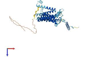 AlphaFold protein structure predicition of Mouse Recombinant Cds1 Protein, UniprotID P98191
