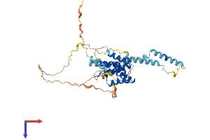 AlphaFold protein structure predicition of Mouse Recombinant Snapc1 Protein, UniprotID Q8K0S9