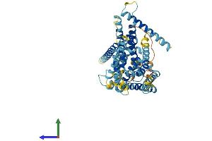 AlphaFold protein structure predicition of Mouse Recombinant Lmbr1 Protein, UniprotID Q9JIT0