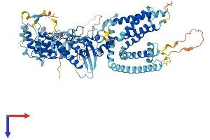 AlphaFold protein structure predicition of Mouse Recombinant Trpv2 Protein, UniprotID Q9WTR1