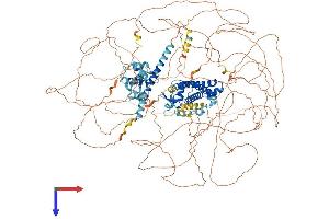 Synergin gamma (SYNRG) (AA 1-1314) protein (His tag)