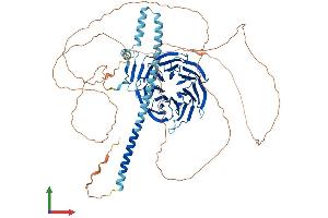AlphaFold protein structure predicition of Human Recombinant TLE1 Protein, UniprotID Q04724