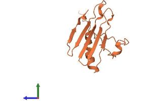 AlphaFold protein structure predicition of Human Recombinant SHANK2-AS3 Protein, UniprotID Q9BTD1