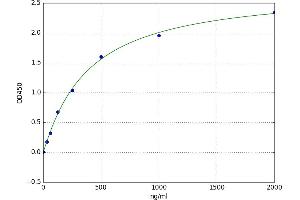 Soluble Transferrin Receptor (sTfR) ELISA Kit