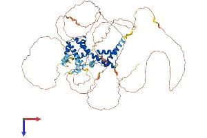 AlphaFold protein structure predicition of Human Recombinant HNF1A Protein, UniprotID P20823