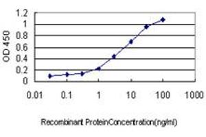 Detection limit for recombinant GST tagged HORMAD1 is approximately 0.