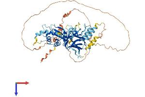 AlphaFold protein structure predicition of Human Recombinant IRF7 Protein, UniprotID Q92985