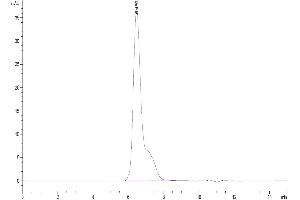 The purity of Biotinylated Human B7-H2 is greater than 95 % as determined by SEC-HPLC.