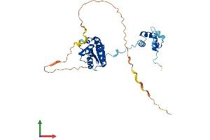 AlphaFold protein structure predicition of Mouse Recombinant Ercc1 Protein, UniprotID P07903