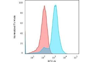 Flow Cytometric Analysis of MeOH-fixed HepG2 cells using Glypican-3 Rabbit Recombinant Monoclonal Antibody (GPC3/1534R) followed by Goat anti-rabbit- IgG-CF488 (Blue); Isotype Control (Red).