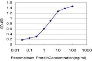 Detection limit for recombinant GST tagged HMGB2 is approximately 0. (HMGB2 anticorps  (AA 1-195))